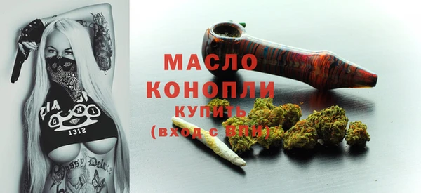 гашик Михайлов