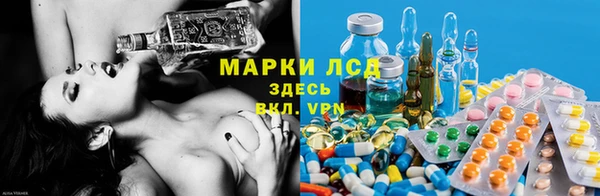 гашик Михайлов