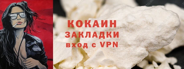 гашик Михайлов