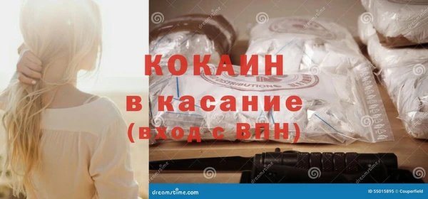 гашик Михайлов