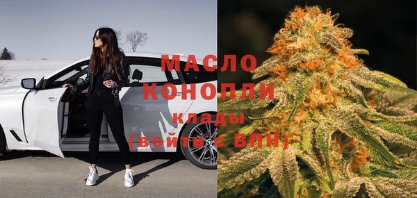 гашик Михайлов