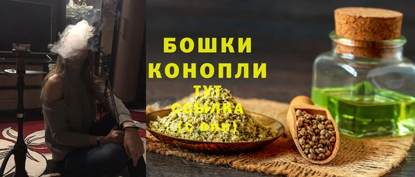 гашик Михайлов