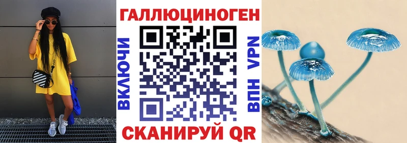 ОМГ ОМГ маркетплейс  Тольятти  Псилоцибиновые грибы Psilocybe 