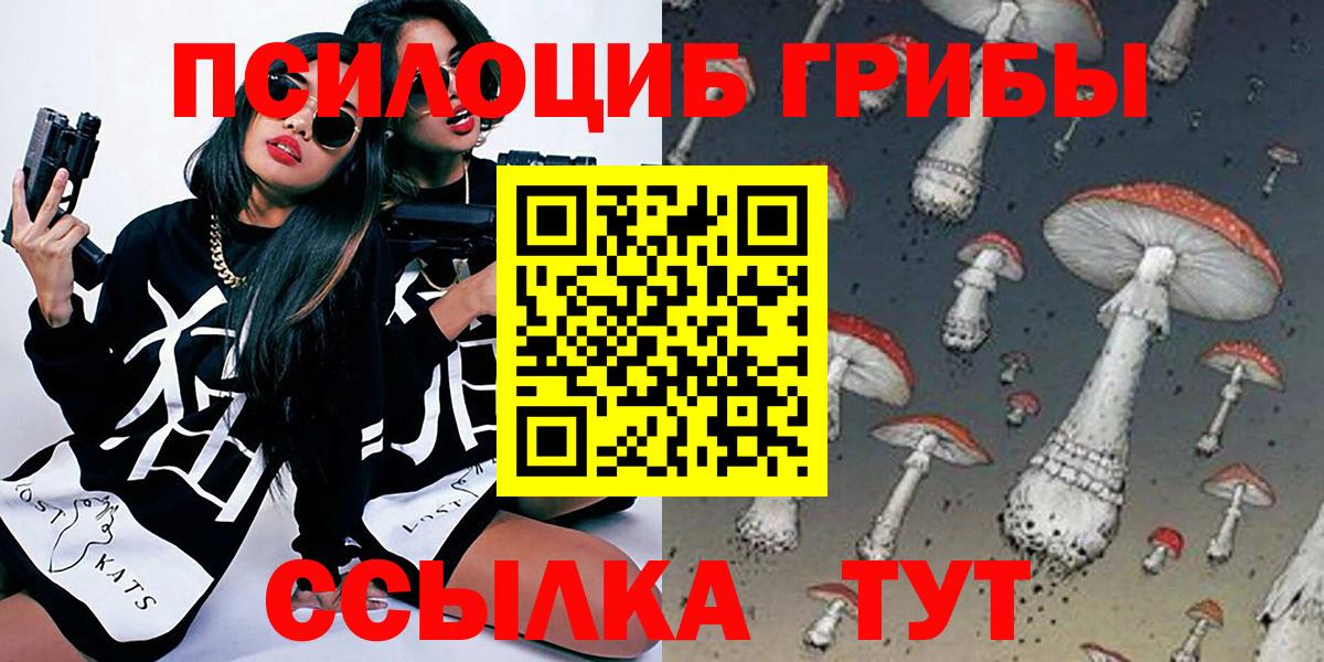 Псилоцибиновые грибы Cubensis Тольятти