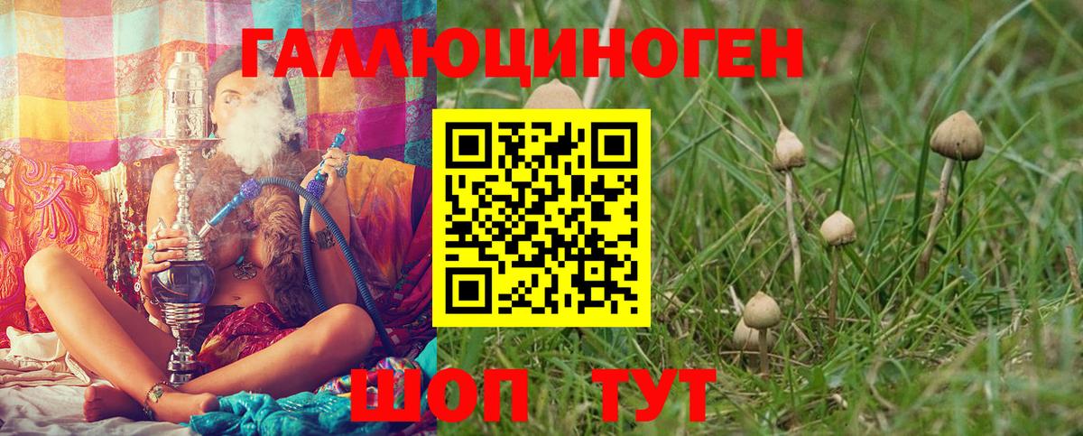 Галлюциногенные грибы Psilocybine cubensis  Вход с VPN  Тольятти  цены наркотик  Галлюциногенные грибы ЛСД 